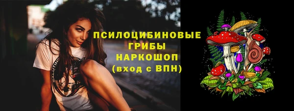 твердый Елизово