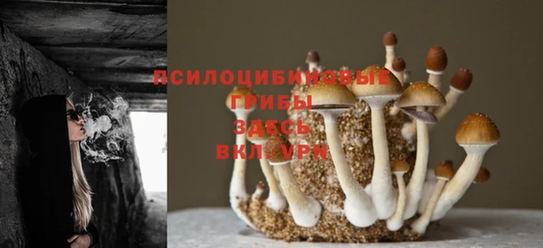 кокаин Ельня