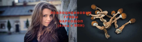 спайс Тында