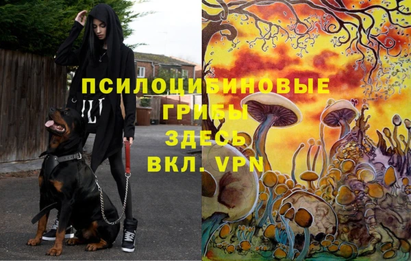 марки nbome Туринск