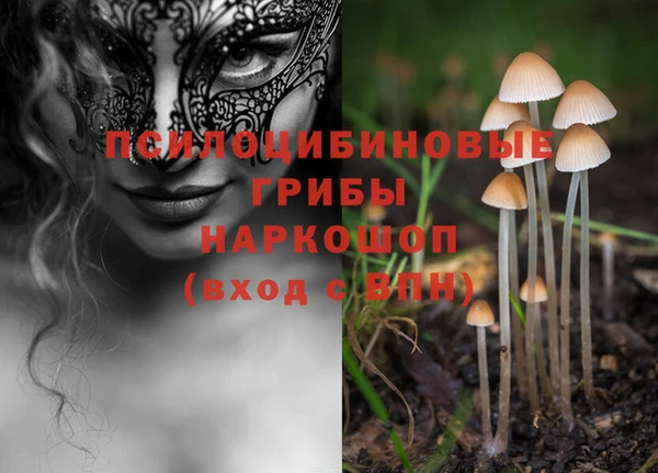 твердый Елизово