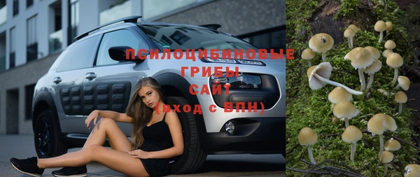 твердый Елизово