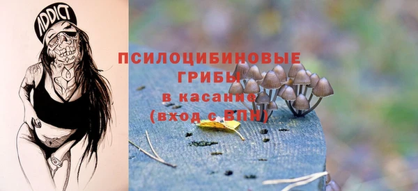 дживик Заволжье