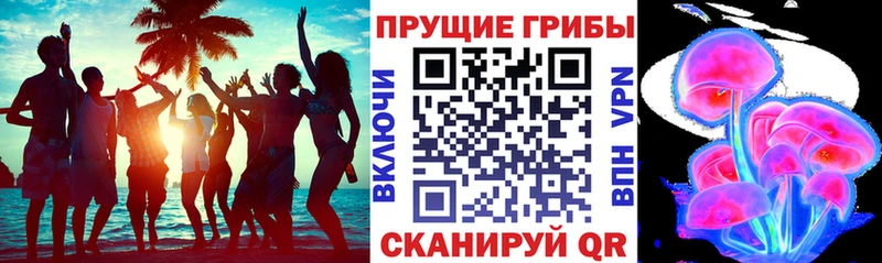Галлюциногенные грибы прущие грибы  Купить где  Печоры 